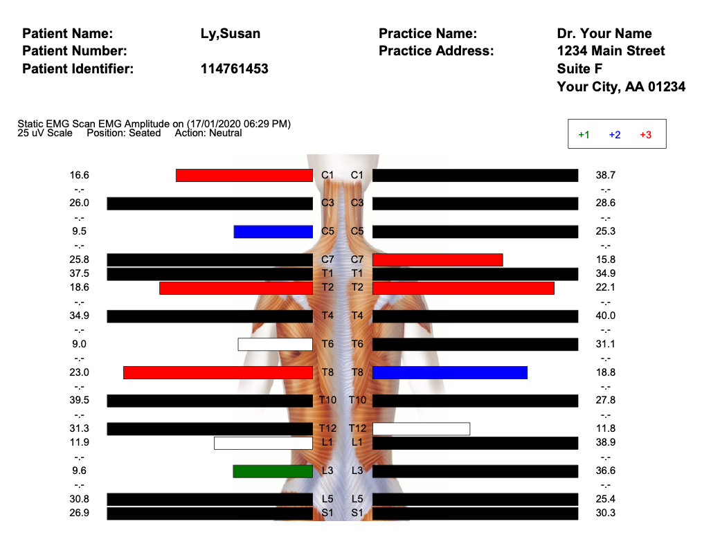 SEMG Screen Shot - The Spinal Centre